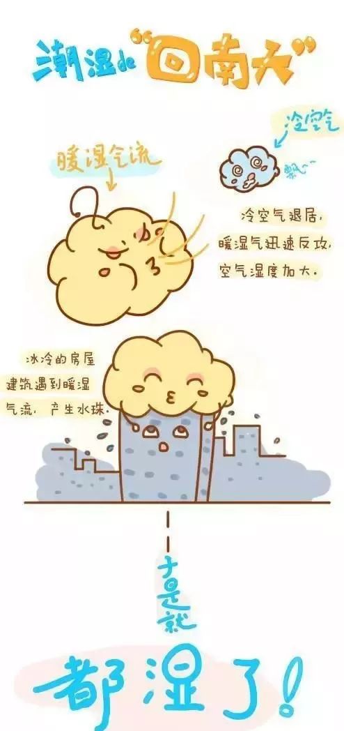 又是回南天,墙体发霉了怎么办?